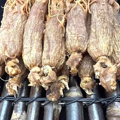Whole Root Red Ginseng，6 Years Older Ginsengroot from Changbai Mountain Jilin China, Sugar Free  200 g