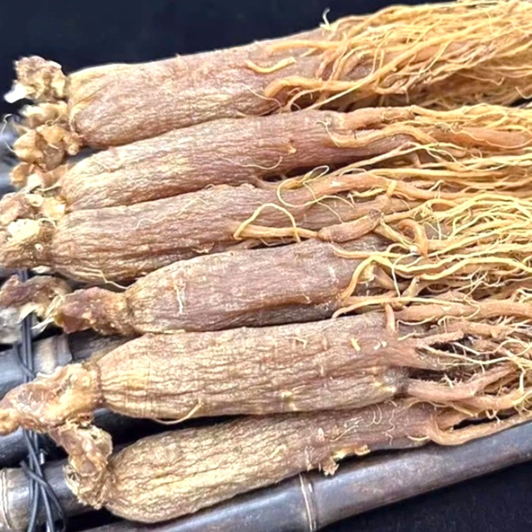 Whole Root Red Ginseng，6 Years Older Ginsengroot from Changbai Mountain Jilin China, Sugar Free  200 g
