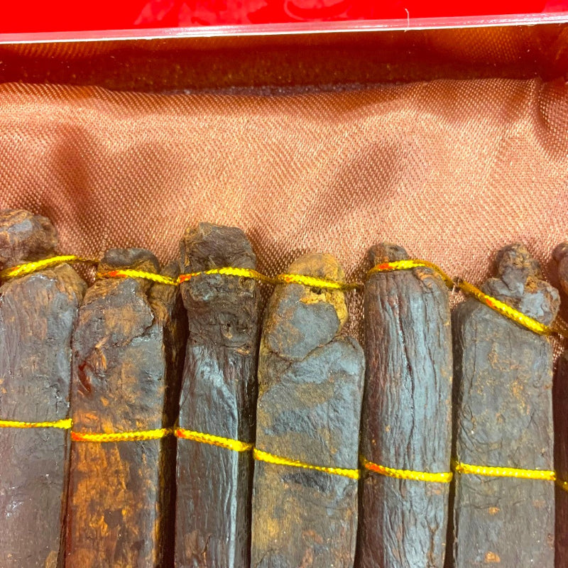 Red Ginseng Master-black ginseng head detail