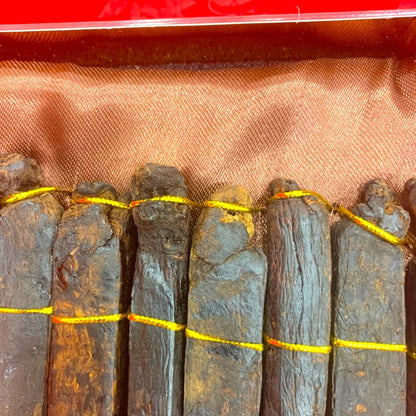 Red Ginseng Master-black ginseng head detail